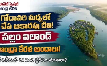 పల్లం ఐలాండ్ గోదావరి గోదావరి నది మధ్యలో ఉన్న పల్లం ఐలాండ్ చేప ఆకారపు దృశ్యం మరియు కోనసీమ అందాలు