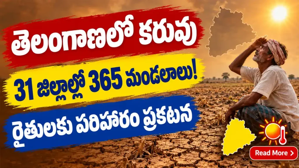 తెలంగాణలో 31 జిల్లాల్లోని 365 మండలాలు కరువు బాధిత ప్రాంతాలు