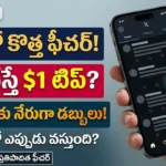 ఎక్స్ లైక్ బటన్ డాలర్ టిప్ :ఎక్స్ యాప్ లైక్ బటన్ ద్వారా డాలర్ టిప్ పంపే కొత్త ఫీచర్